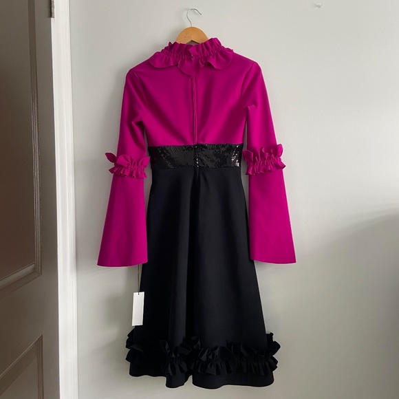 GRETA CONSTANTINE RARE APPLIQUE RUFFLE SEQUIN KNEE LENGTH V-NECK DRESS MARKLE - Picture 2 of 16